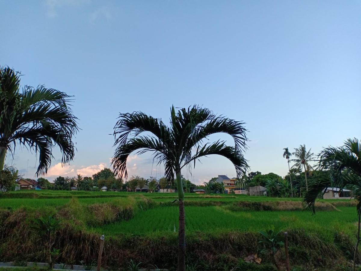 Bata Merah Homestay 外南梦 外观 照片