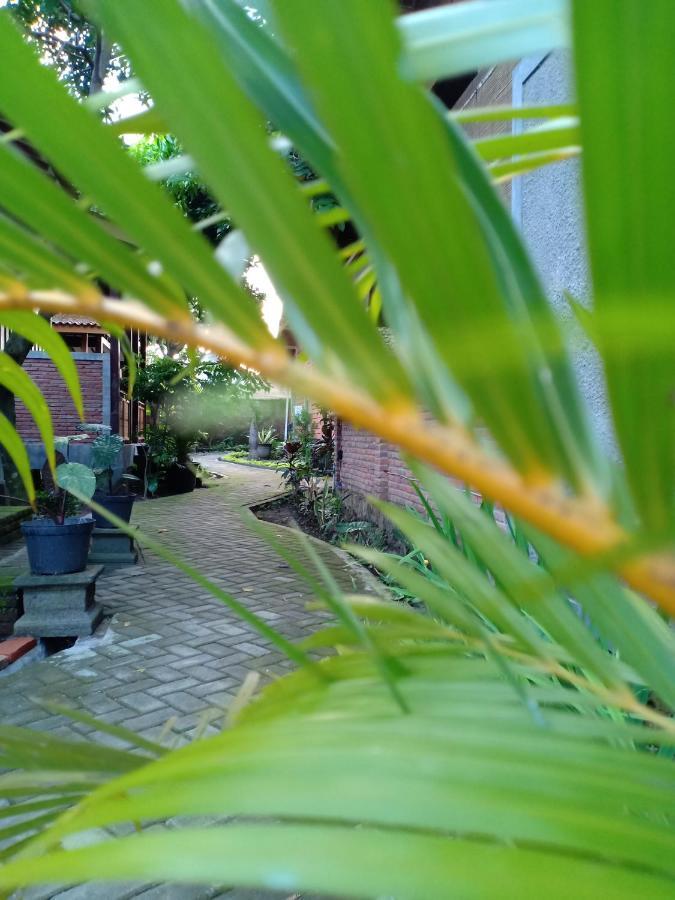 Bata Merah Homestay 外南梦 外观 照片