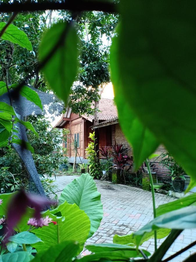 Bata Merah Homestay 外南梦 外观 照片