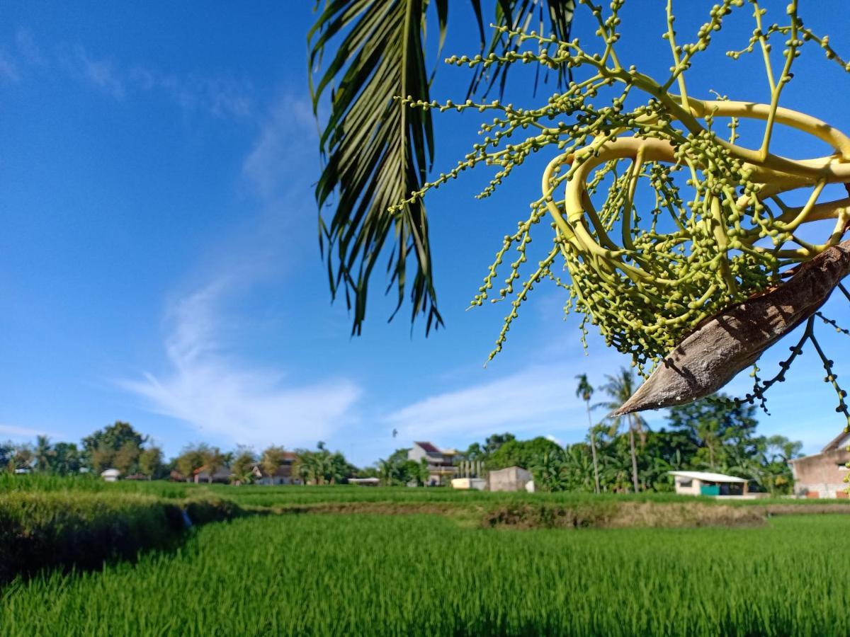 Bata Merah Homestay 外南梦 外观 照片