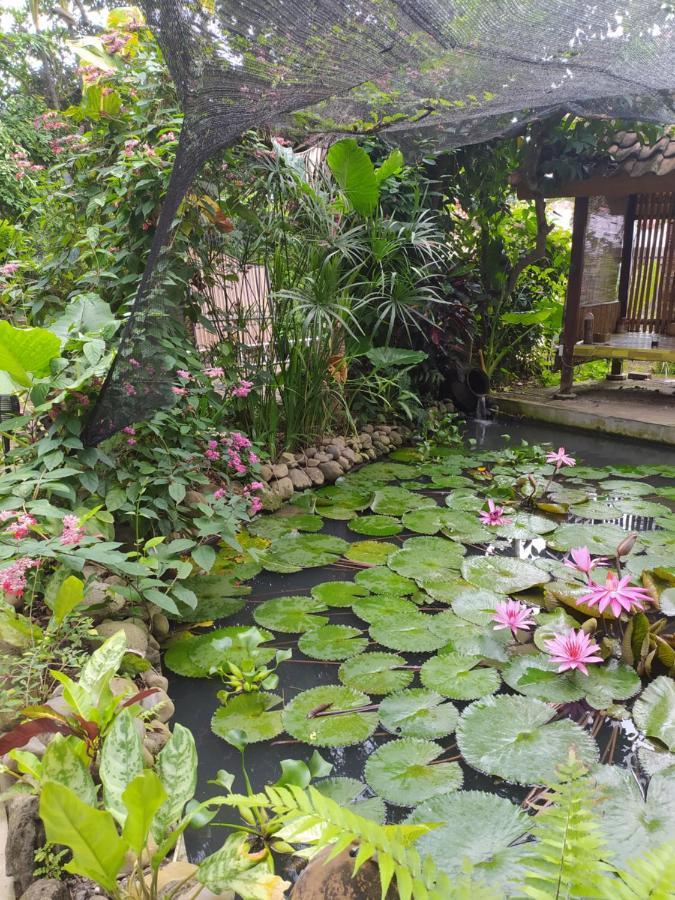 Bata Merah Homestay 外南梦 外观 照片