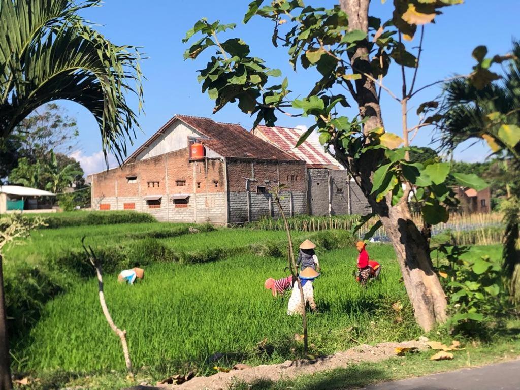 Bata Merah Homestay 外南梦 外观 照片